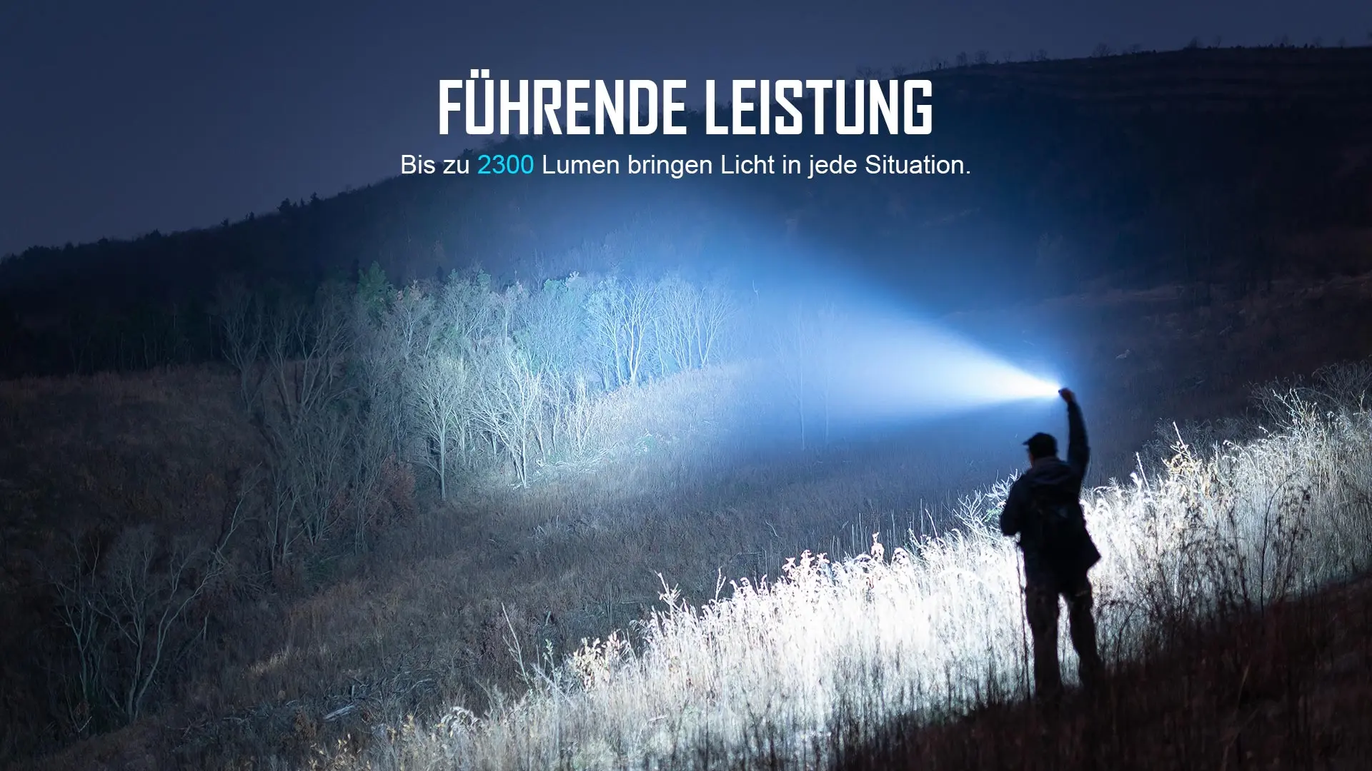 Führende Leistung