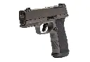 shop_2_Sig-Sauer-P365-AXG-Legion.jpg.webp