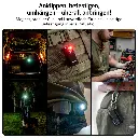 qqyxd-dzgdfs-bk73qc.webp