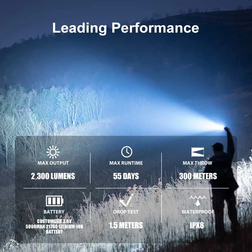 leading-performance-5-w89fbs-ereqn7.webp