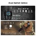 dual-switch-option-4-aybnje-jttxdm.webp