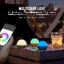 obulb-pro-s-cct-2-ptf0xx.webp