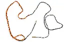 Bore Snake RifleCX 01 SS.webp