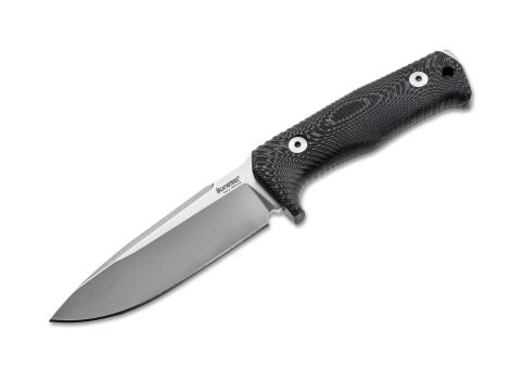 [02LS023] LIONSTEEL T5 SATIN